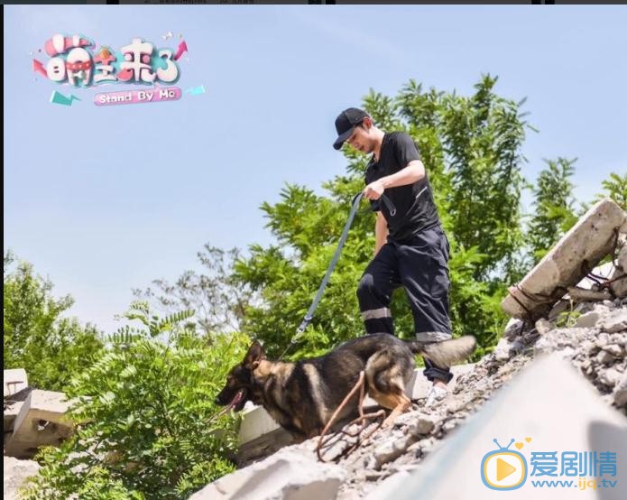 张继科参加活动写真 张继科高清写真_张继科高清剧照