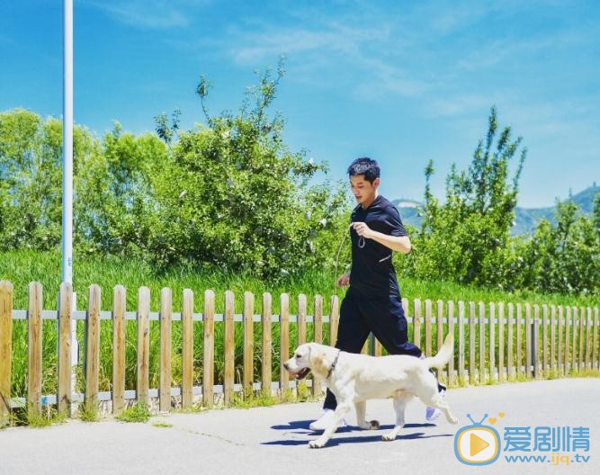 张继科参加活动写真 张继科高清写真_张继科高清剧照