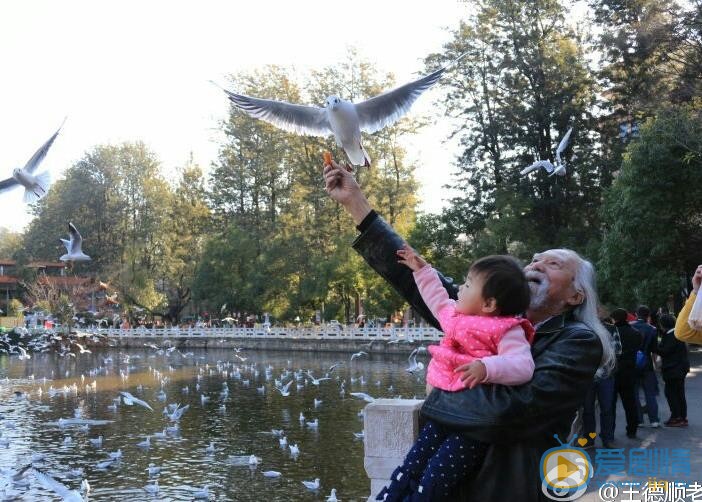 王德顺祖孙合照 王德顺高清写真_王德顺高清剧照