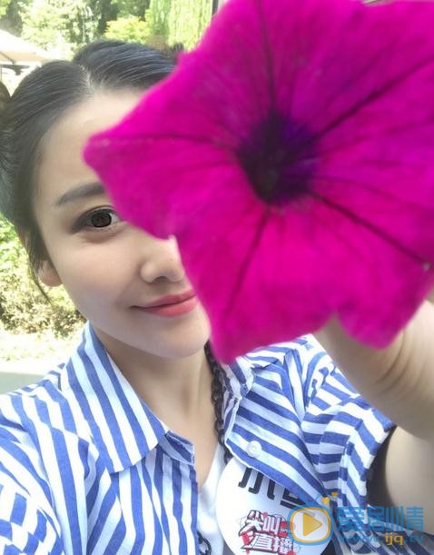 古筝生活照 古筝高清写真_古筝高清剧照