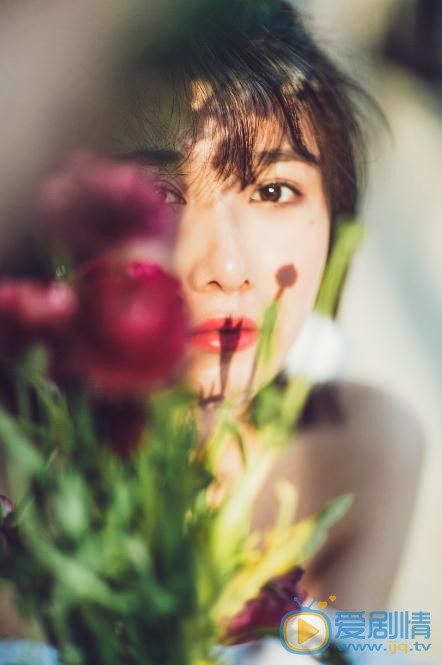 古筝花儿写真 古筝高清写真_古筝高清剧照