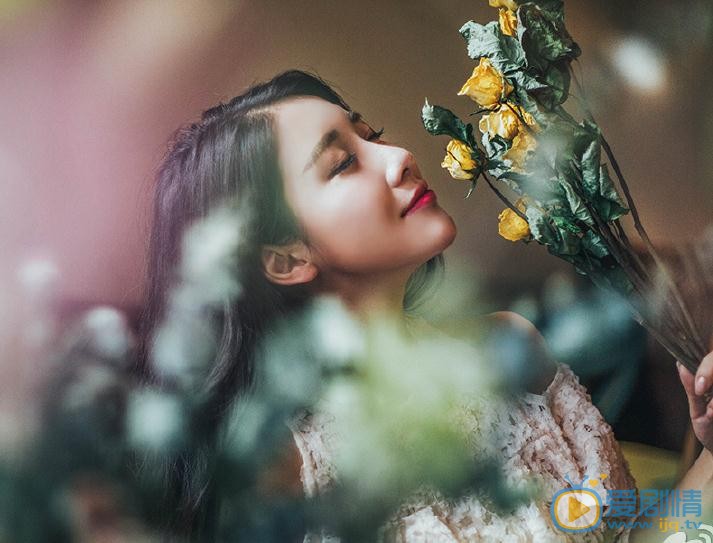 古筝花儿写真 古筝高清写真_古筝高清剧照