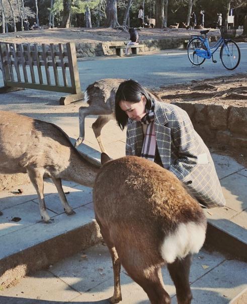 杨亭旅游照 杨亭高清写真_杨亭高清剧照
