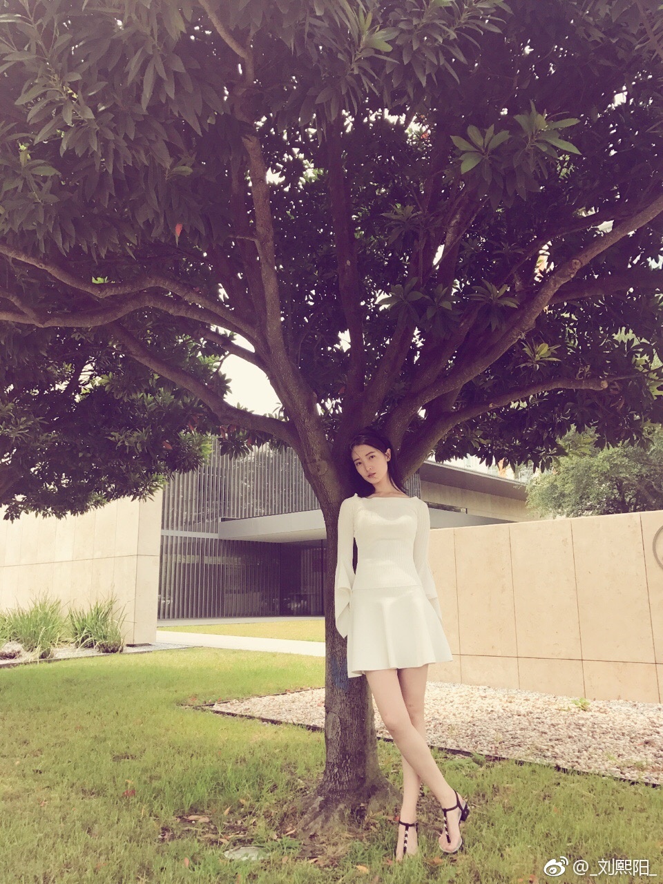 刘熙阳街拍写真 刘熙阳高清写真_刘熙阳高清剧照