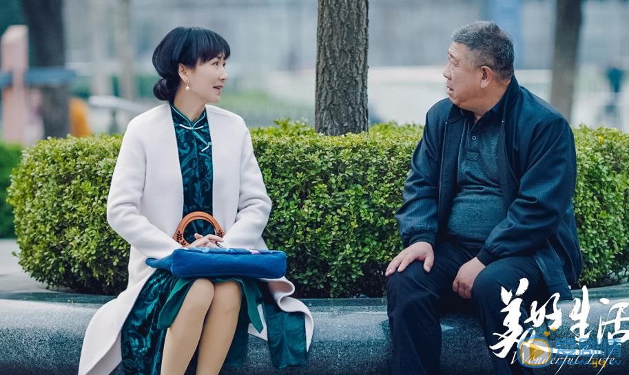 美好生活刘兰芝剧照 