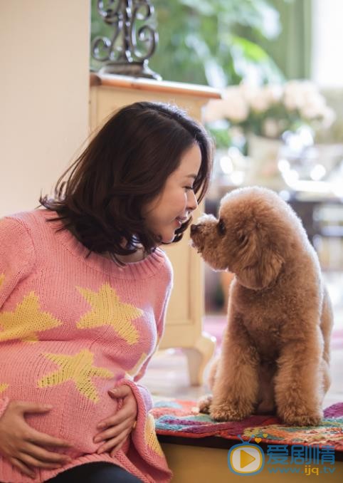 杨若兮孕期写真 杨若兮高清写真_杨若兮高清剧照