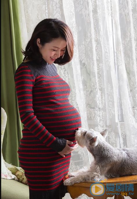 杨若兮孕期写真 杨若兮高清写真_杨若兮高清剧照