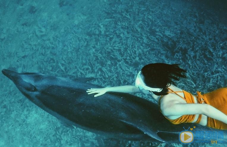 倪言海豚写真 倪言高清写真_倪言高清剧照