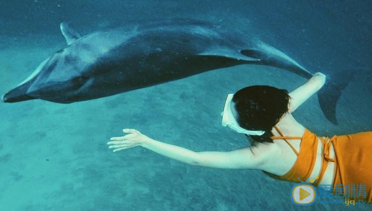 倪言海豚写真 倪言高清写真_倪言高清剧照