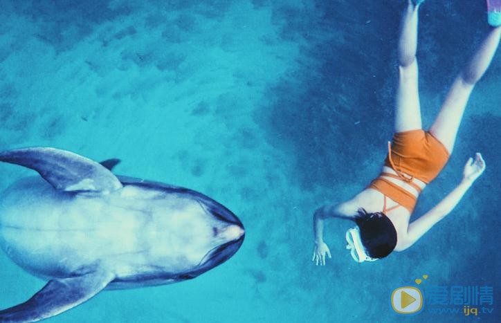 倪言海豚写真 倪言高清写真_倪言高清剧照