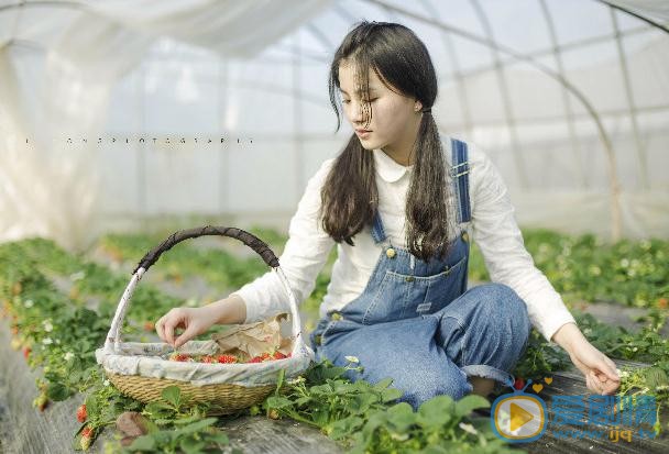 倪言草莓写真 倪言高清写真_倪言高清剧照