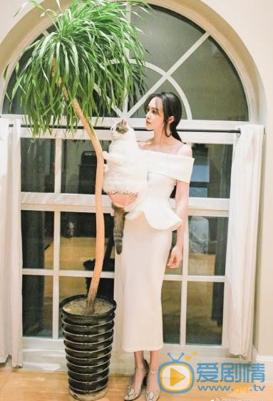 赵悦童服装广告写真 赵悦童高清写真_赵悦童高清剧照