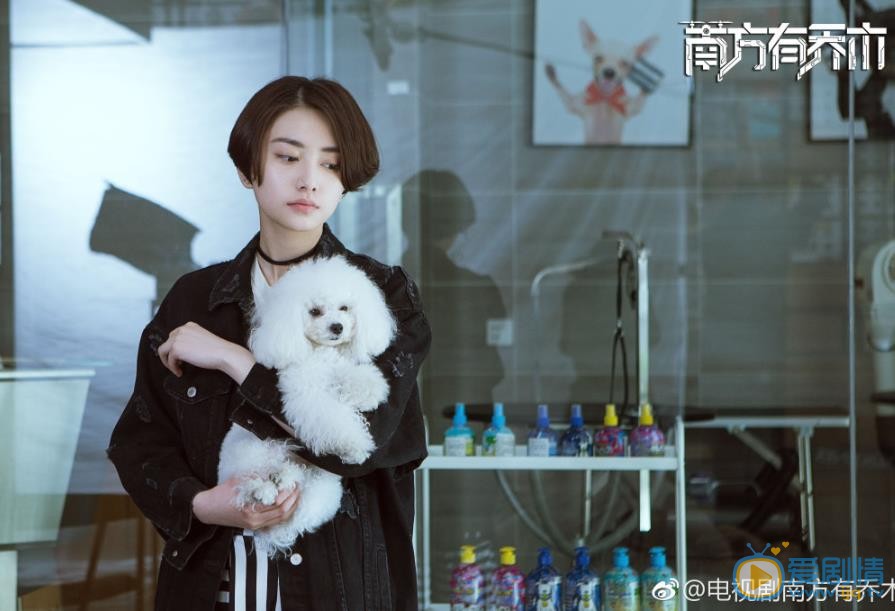 南方有乔木欧阳琦剧照 