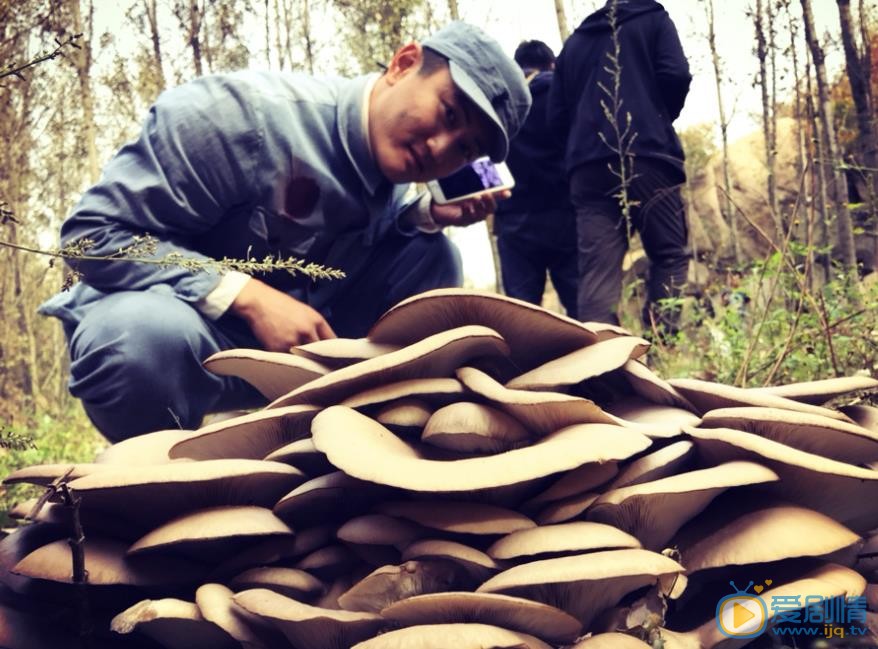 叶静片场照 叶静高清写真_叶静高清剧照
