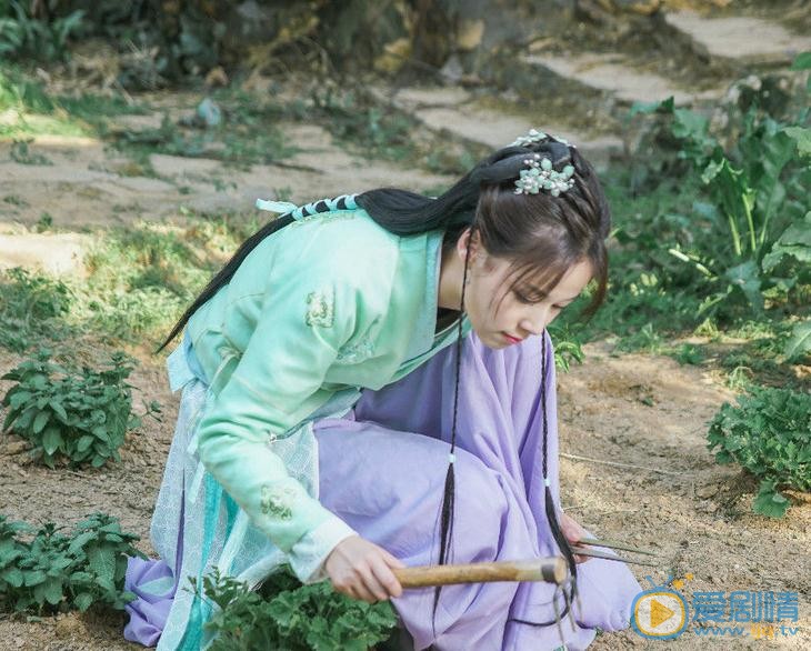 邹杨《孤芳不自赏》剧照 邹杨高清写真_邹杨高清剧照