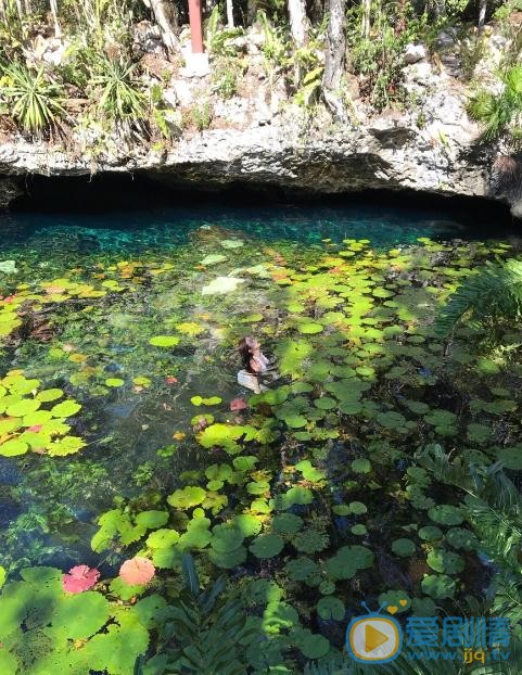 杨净如水中写真 杨净如高清写真_杨净如高清剧照