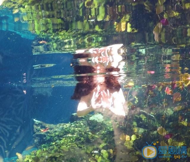 杨净如水中写真 杨净如高清写真_杨净如高清剧照