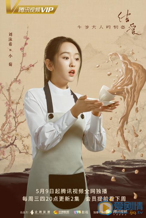 结爱千岁大人的初恋小菊剧照 
