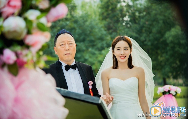 超级翁婿朱利剧照
