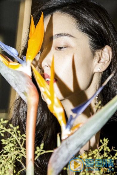 陈碧舸气质写真 陈碧舸高清写真_陈碧舸高清剧照