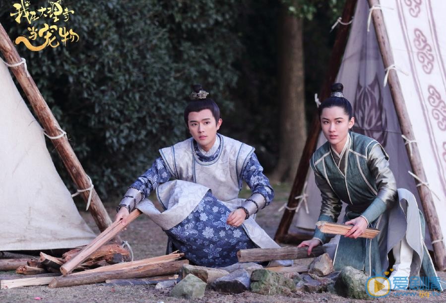 我在大理寺当宠物长恨剧照