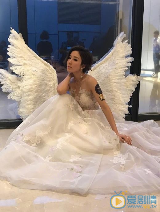 杨怡气质写真 杨怡高清写真_杨怡高清剧照