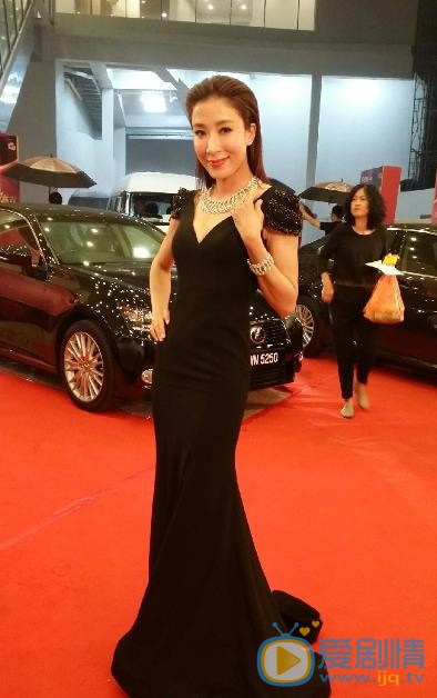 杨怡红毯照 杨怡高清写真_杨怡高清剧照
