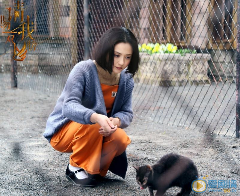 请赐我一双翅膀玉玲珑剧照 