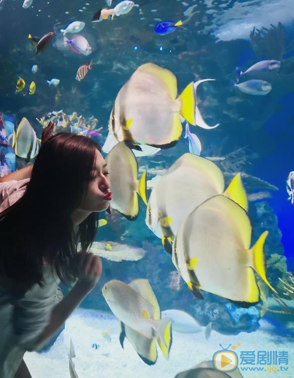 于婷婷海洋馆照 于婷婷高清写真_于婷婷高清剧照