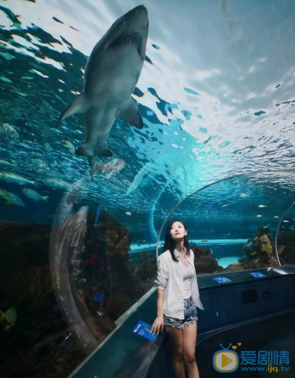 于婷婷海洋馆照 于婷婷高清写真_于婷婷高清剧照