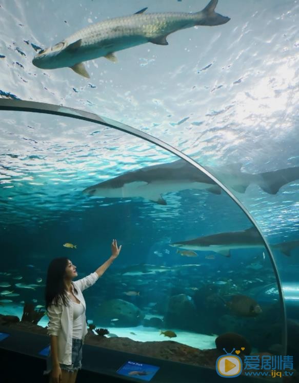 于婷婷海洋馆照 于婷婷高清写真_于婷婷高清剧照