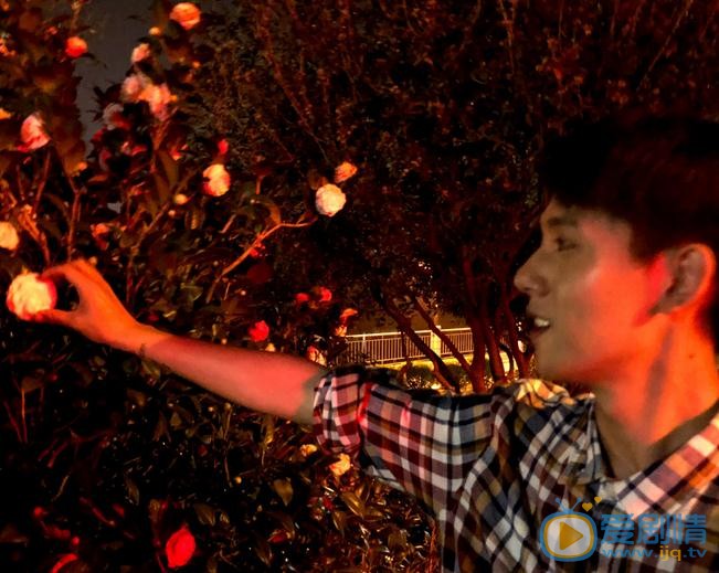 张耀夜色写真 张耀高清写真_张耀高清剧照