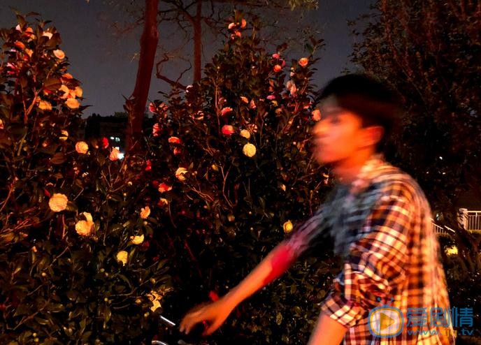 张耀夜色写真 张耀高清写真_张耀高清剧照