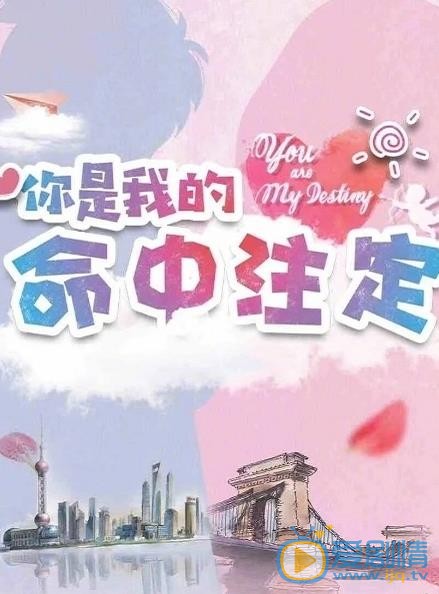 你是我的命中注定剧情介绍 你是我的命中注定剧照