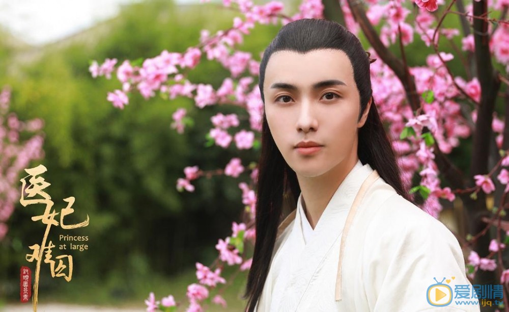 医妃难囚顾西风剧照