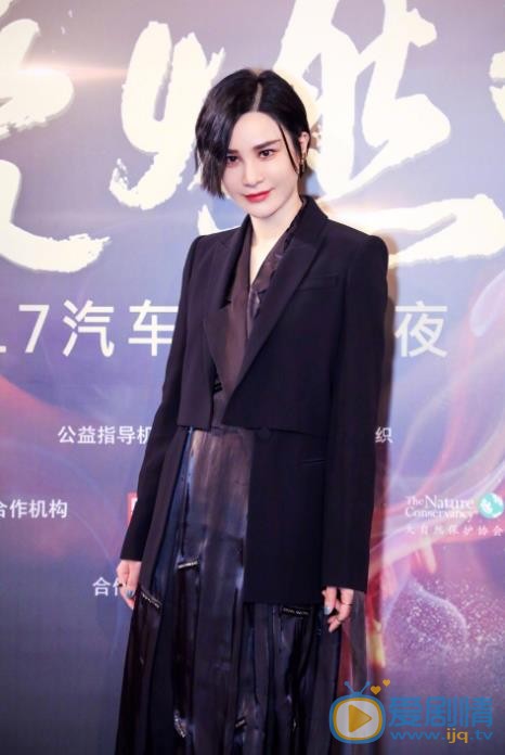 尚雯婕现场照 尚雯婕高清写真_尚雯婕高清剧照