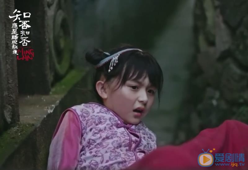 知否知否应是绿肥红瘦小明兰剧照 