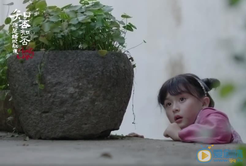 知否知否应是绿肥红瘦小明兰剧照 
