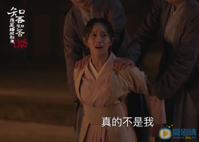 知否知否应是绿肥红瘦小蝶剧照