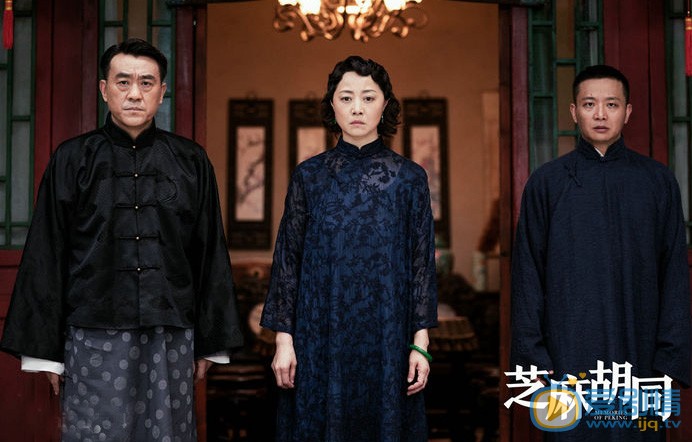 芝麻胡同严振声剧照 