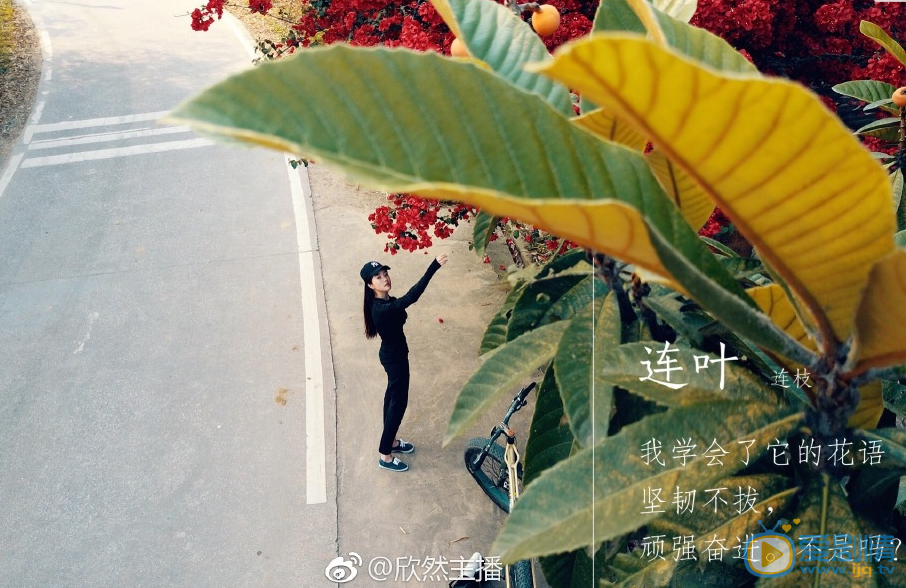 刘欣然旅拍照 刘欣然高清写真_刘欣然高清剧照