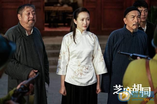 电视剧芝麻胡同更新时间是什么 一周更新几集