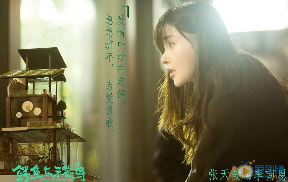 鳄鱼与牙签鸟最新剧照_李南恩高清剧照