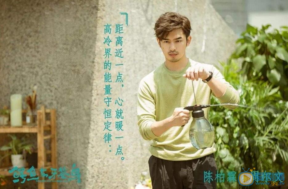 鳄鱼与牙签鸟最新剧照_周尔文高清剧照