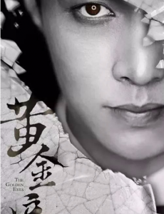黄金瞳庄睿为什么会失忆？是因为眼睛的原因吗？