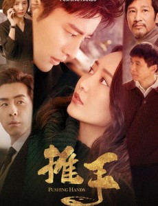 电视剧推手接档都挺好 王鸥贾乃亮实力演绎