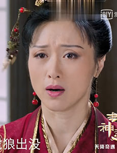 苏夫人