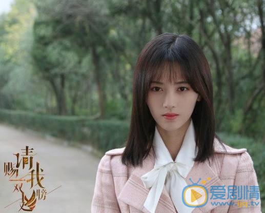 请赐我一双翅膀剧情介绍 请赐我一双翅膀阵容