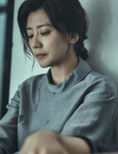 我们与恶的距离主要讲述的是什么？