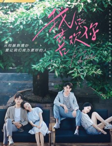 我只喜欢你是哪部小说改编的？更新时间是什么时候？每周几播出？